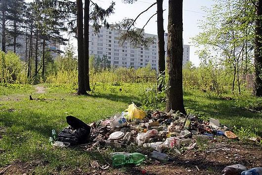мусор в лесу, Говорова, Говорово, Одинцово, экологическая акция, экоакция